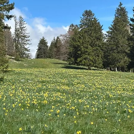 Erholsame Am Kronenburger Holiday home