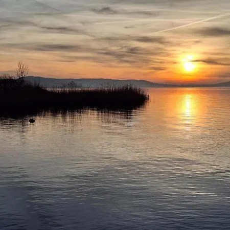 Nature 別荘 Hallschlag