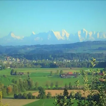 Lovely In Near The Lakebeach * Hallschlag