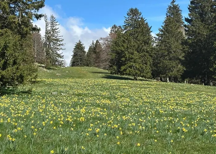 Nature בית נופש